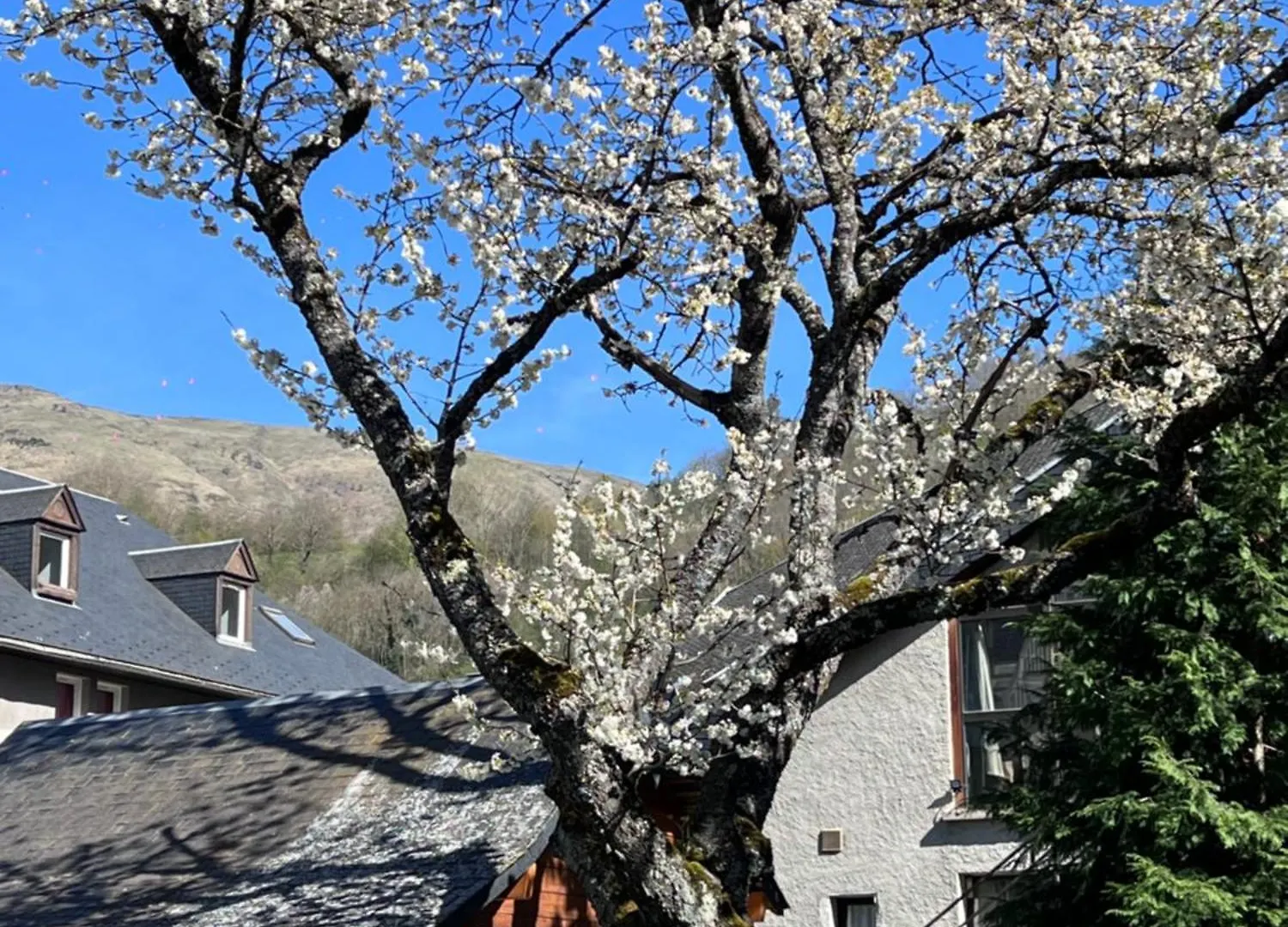 Residence Cami Real **** Saint-Lary-Soulan 0*,  Γαλλία